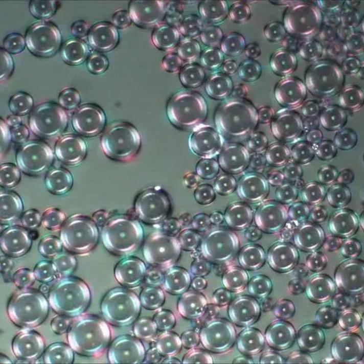 微信图片_20260531122304_1575_6 | | HP-microsphere